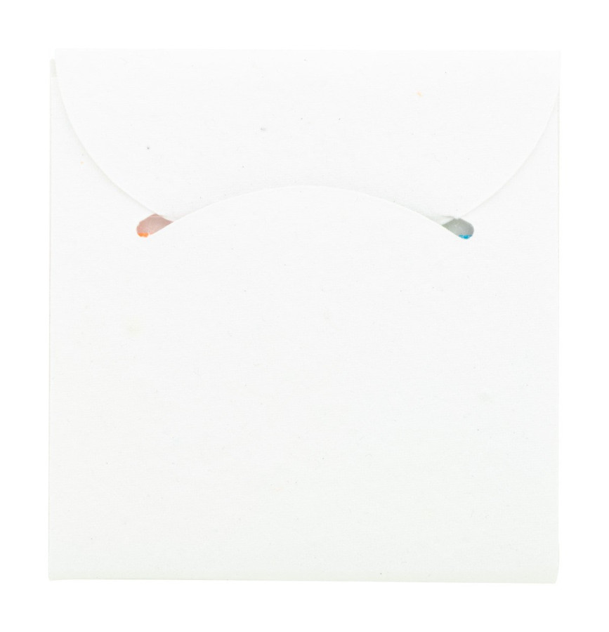 CreaStick Seed Combo C custom sticky notepad