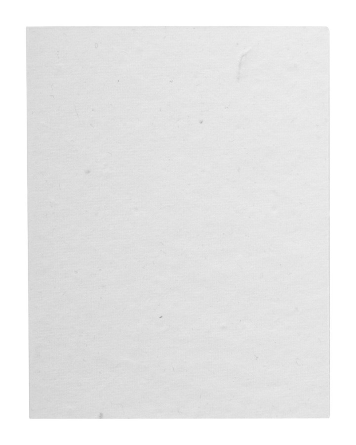 CreaStick Seed Note L custom sticky notepad