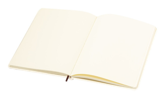 Hucka notebook