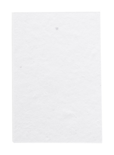 CreaStick Seed Note S custom sticky notepad