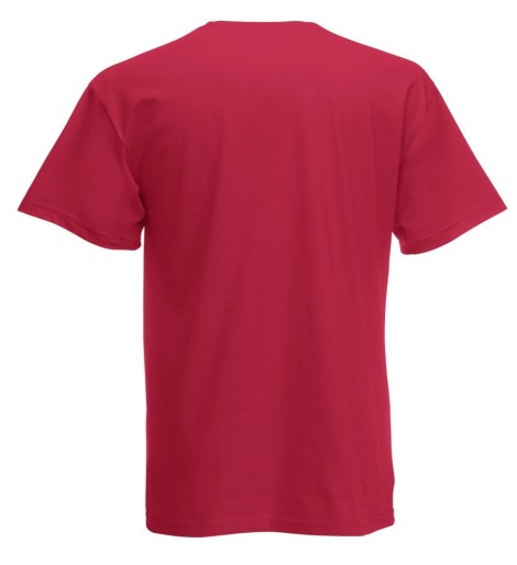 Fruit of the Loom, Original T, men's cotton T-shirt, brick red, L