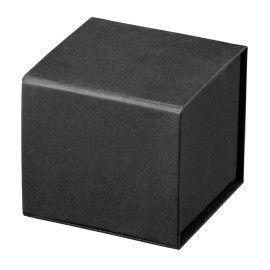 SYNTH. Prenosivi zvučnik sa mikrofonom