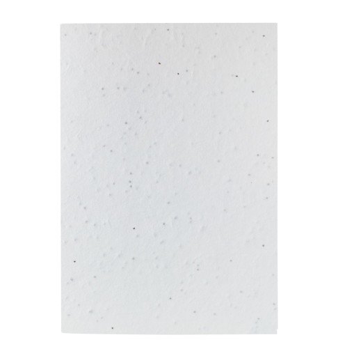 Funtil notes sa semenom u koricama