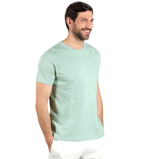 TERRA MEN, organic cotton t-shirt, 150 g/m2, pastel green
