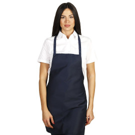 RUDOLPH, apron, blue