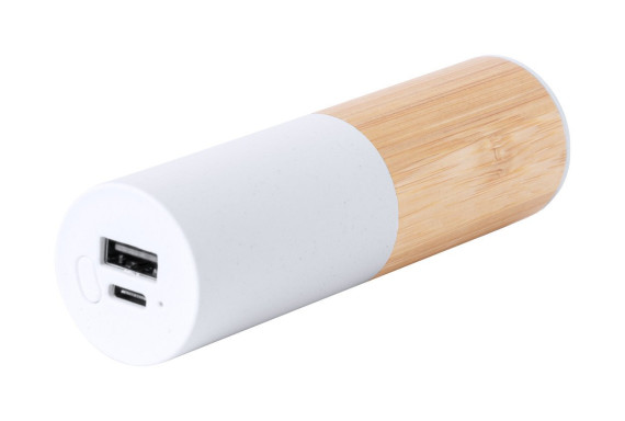 Reneh power bank