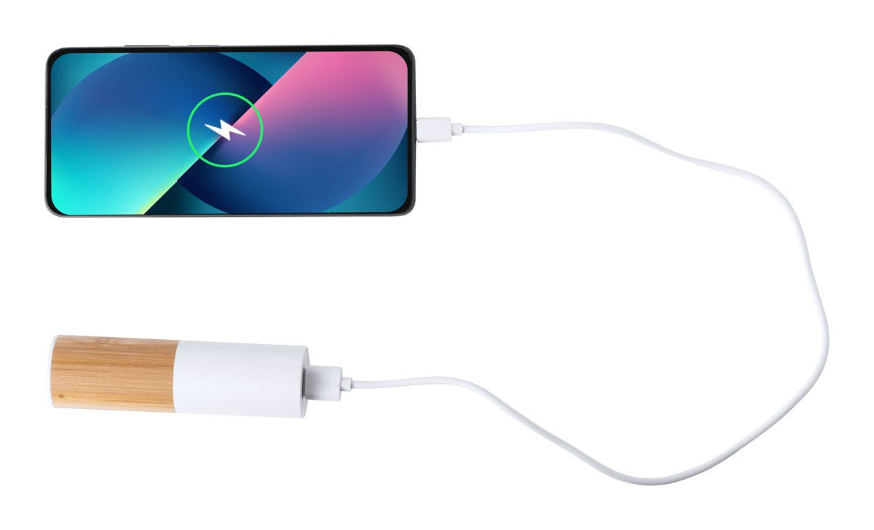 Reneh power bank