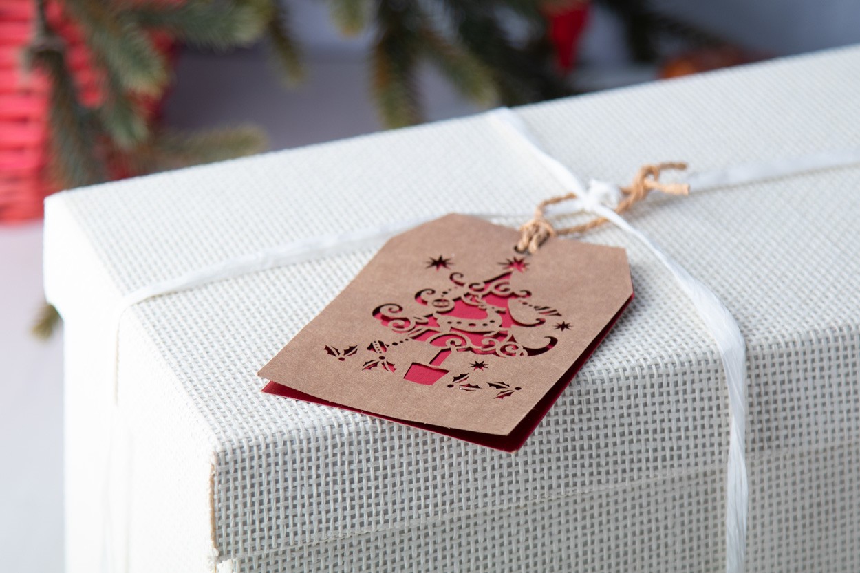 Goslak Christmas čestitka