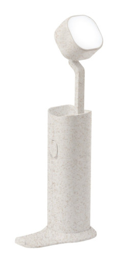 Olan multifunctional desk lamp