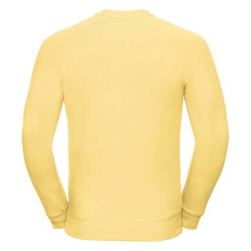 Adults HD Raglan sweatshirt