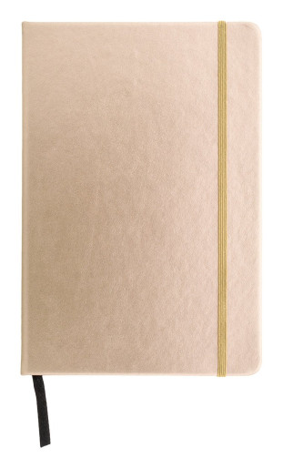 Bodley notebook