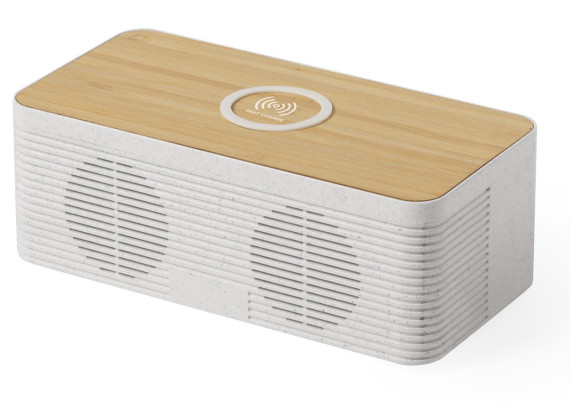 Trecam charger bluetooth speaker