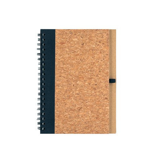 VICENTE. Notes od plute