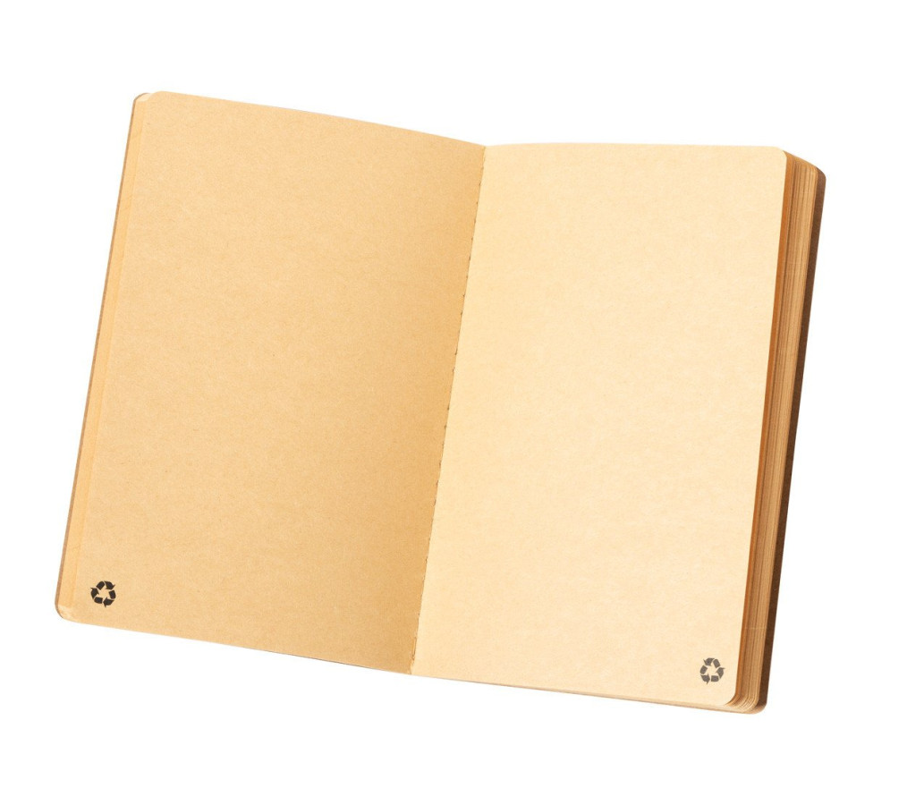 Rayish notebook