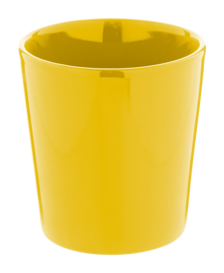 Angulus mug