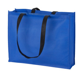 Tucson shopping bag