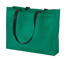 Tucson shopping bag