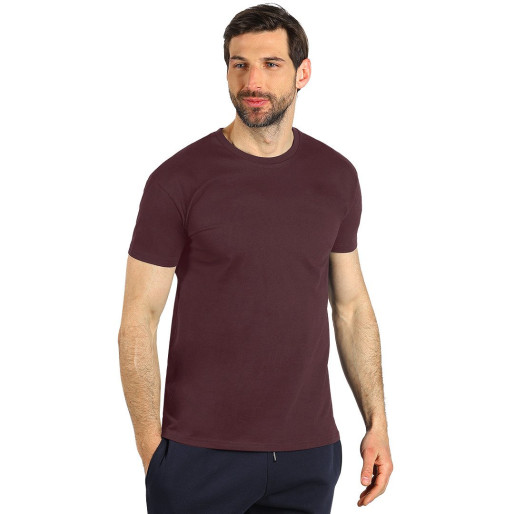 TERRA MEN, organic cotton t-shirt, 150 g/m2, plum