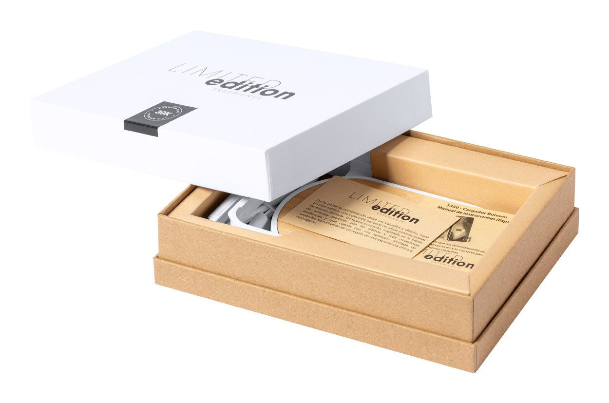 Buisson wireless charger