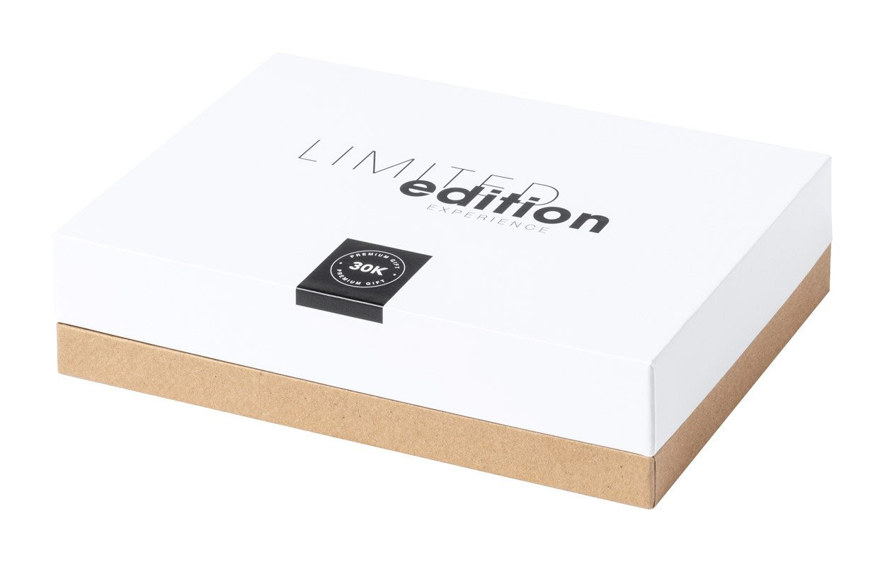 Buisson wireless charger