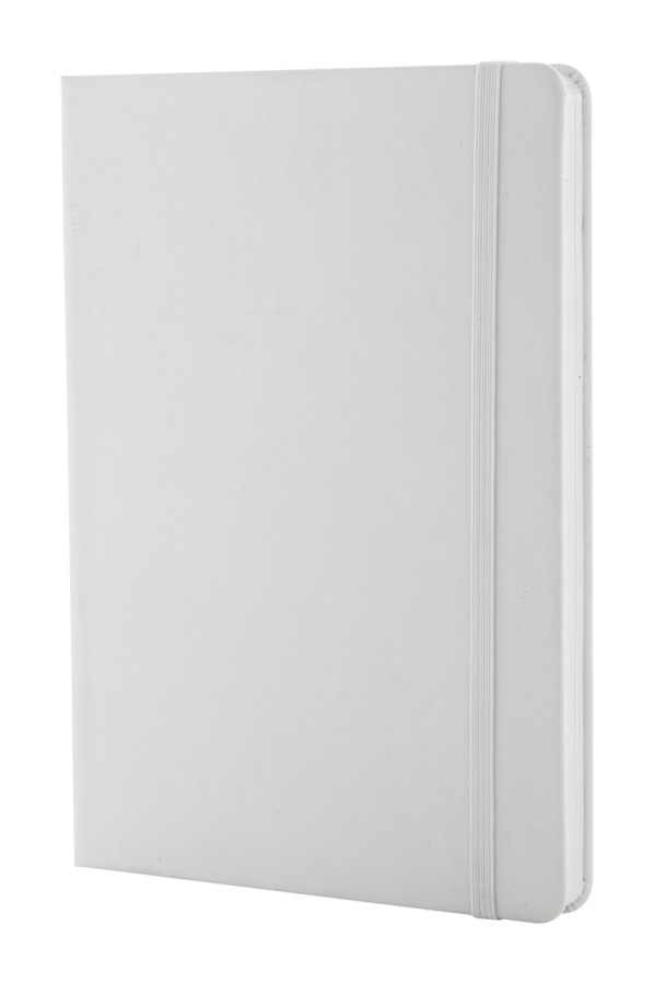 Anti-bacterial notebook