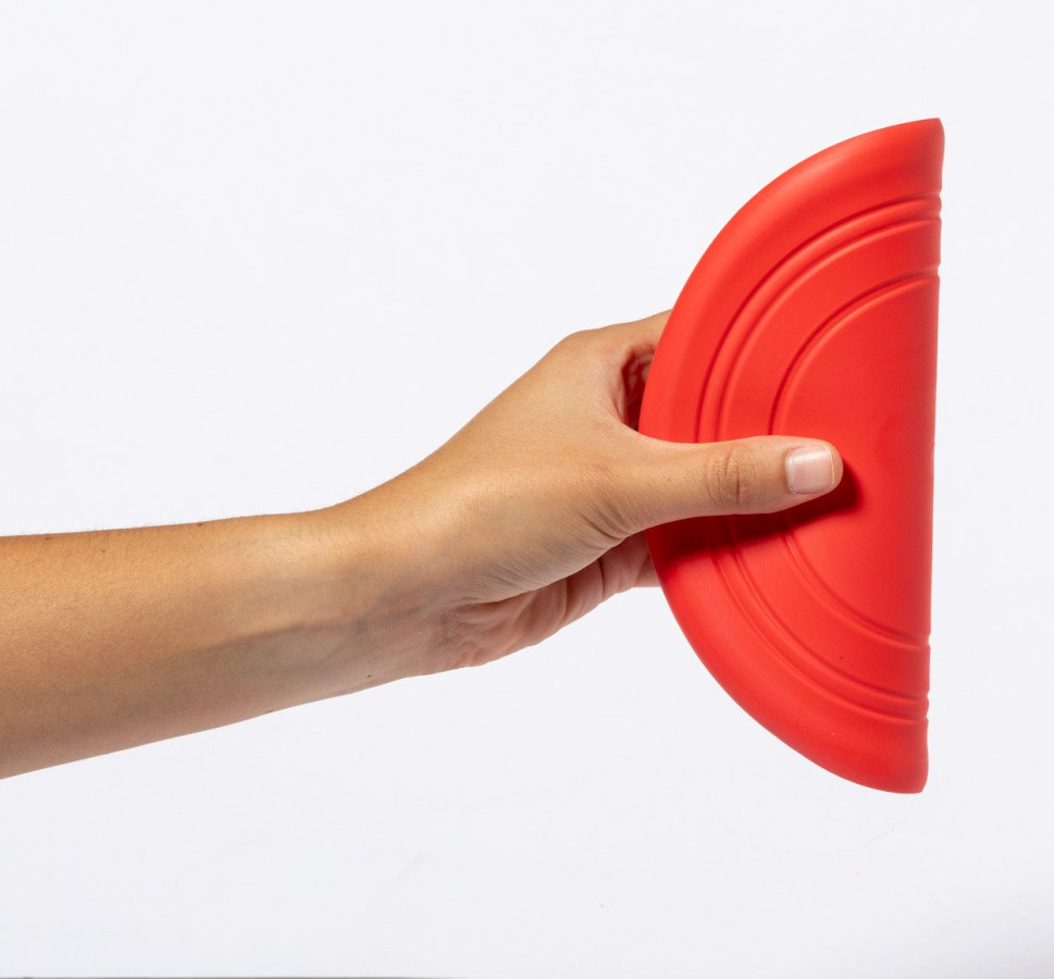 Girud pet frisbee