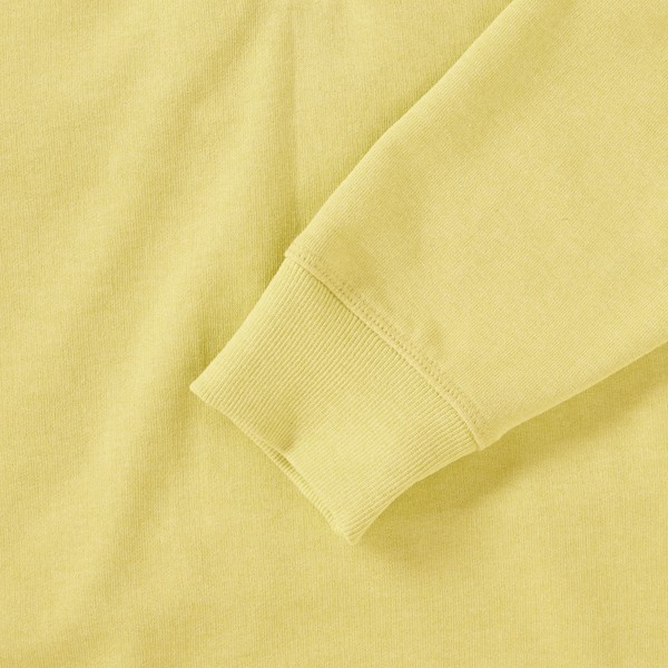 RUSSELL Men's HD Hoodie 1/4 Zipper