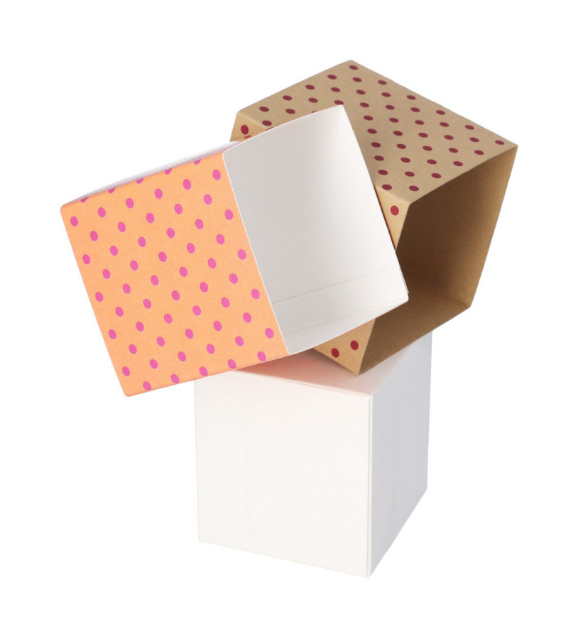 CreaSleeve 221 custom paper sleeve