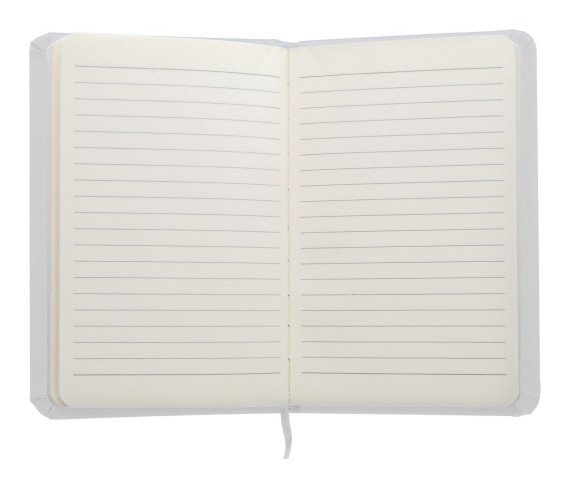 Kinelin notebook