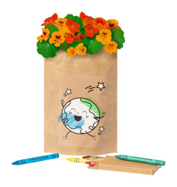 Halors flower planting kit