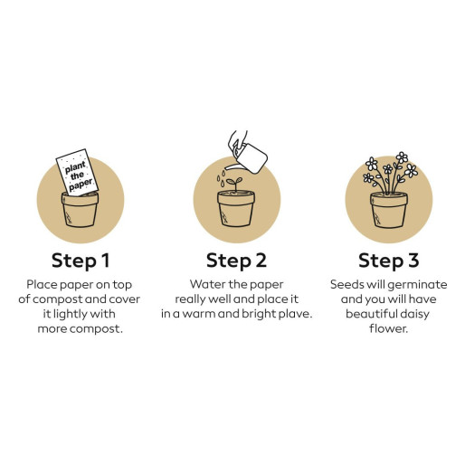 LUSH, set za beleške, beli