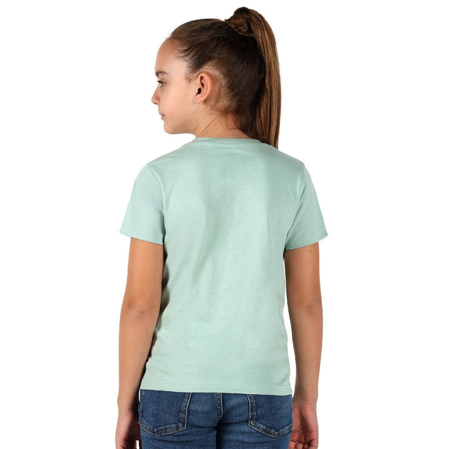 TERRA KID, children's t-shirt made of organic cotton, 150g/m2, pastel green
