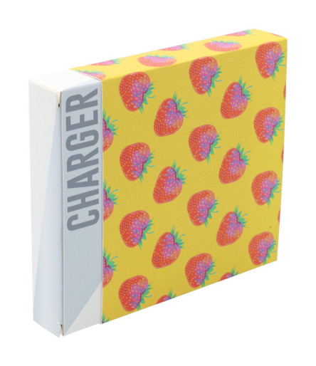 CreaSleeve 293 custom paper sleeve