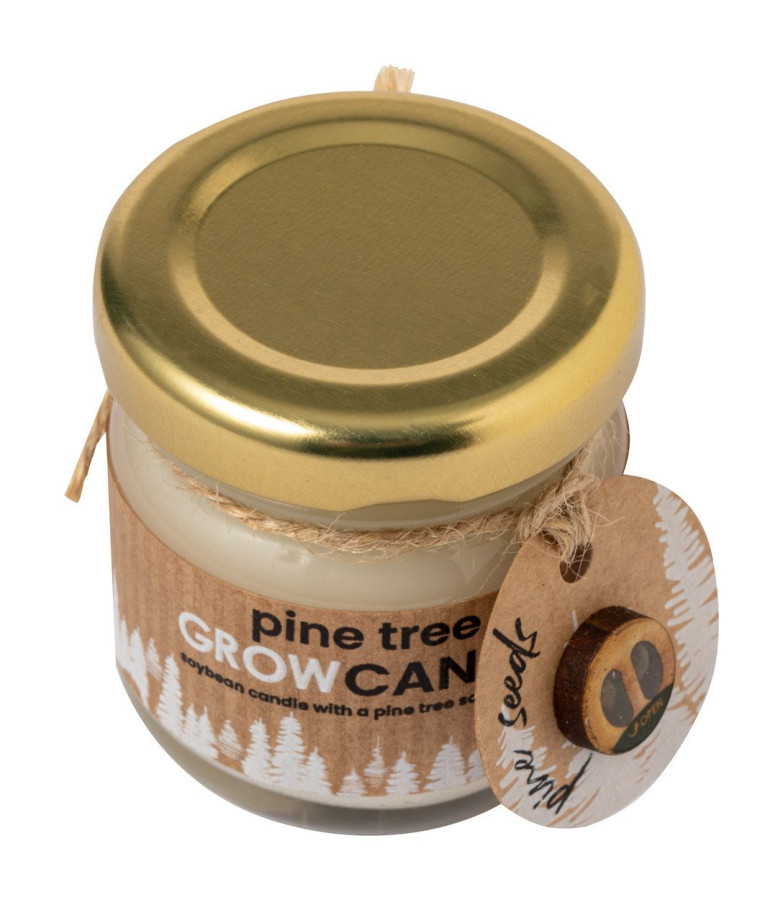 Lisa candle