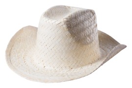 Palviz hat