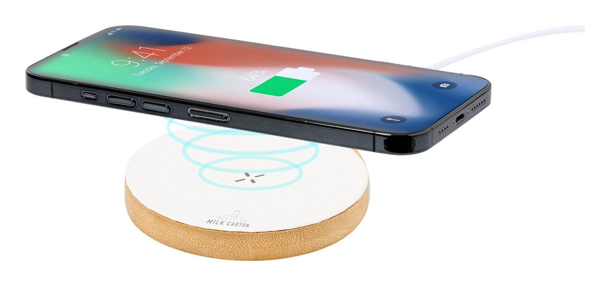 Panther wireless charger