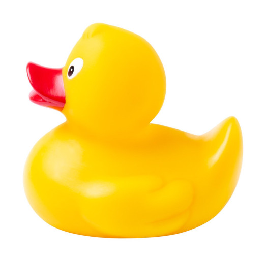 Koldy rubber duck