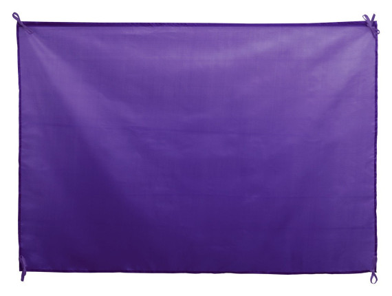 Dambor flag