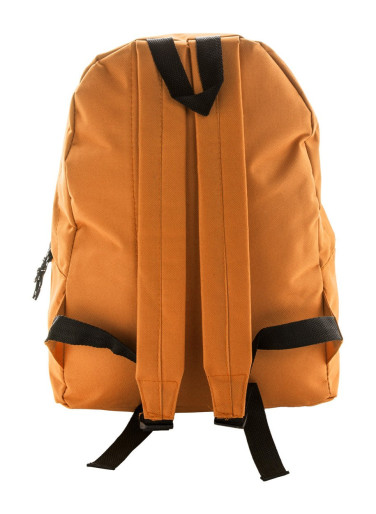 Discovery backpack
