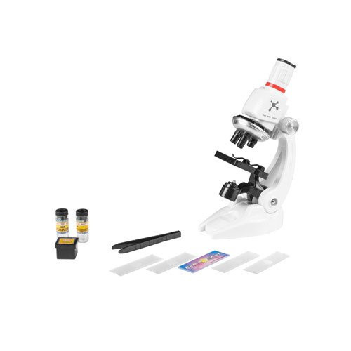 MICROSCOPE. Educational game for children