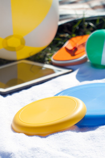 Horizon frisbi