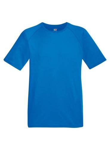 Fruit of the Loom, Performance, Men's Sports Polyester T-Shirt, Royal Blue, M