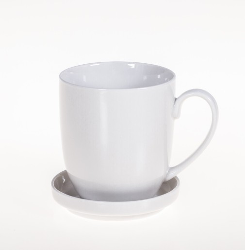 FANCY mug