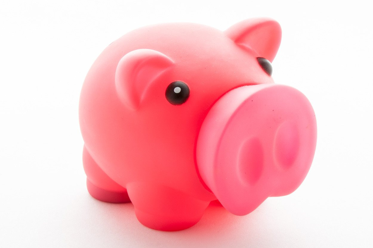 Donax kasica prasica