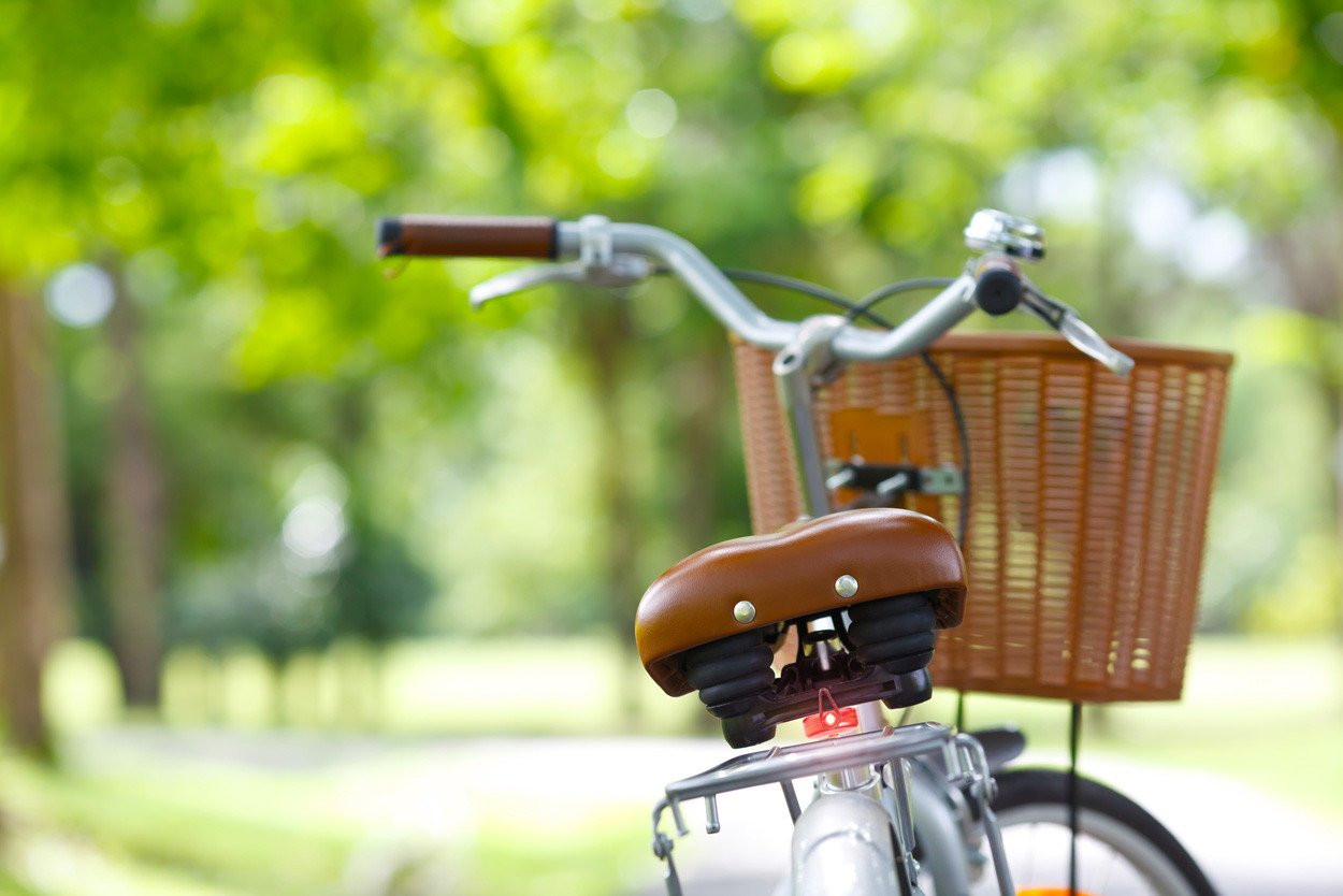 Bowel bicycle light set