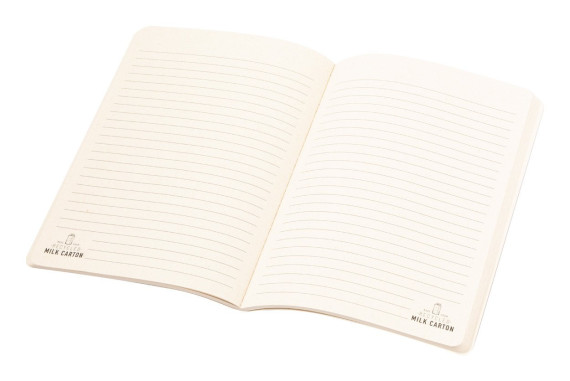 Agnila notebook