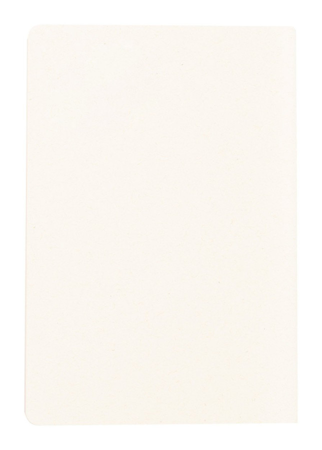 Agnila notebook