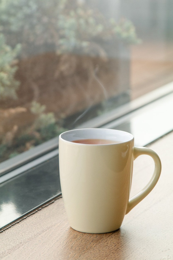 Gaia mug