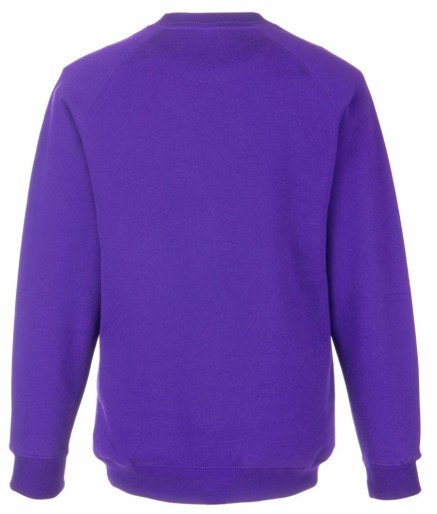 Fruit Of The Loom, Kids Classic Raglan Sweat, Kids Sweatshirt, Purple, 7-8 p.m.