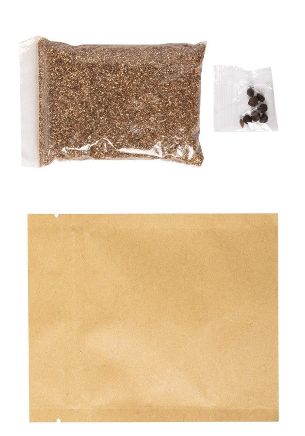 Sober flower planting kit